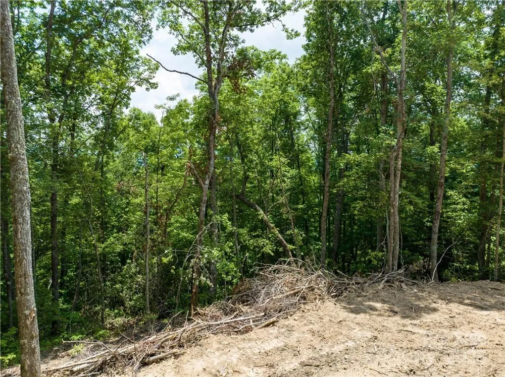 99999 Parris Branch Road #16 A,B,C Sylva, NC 28779
