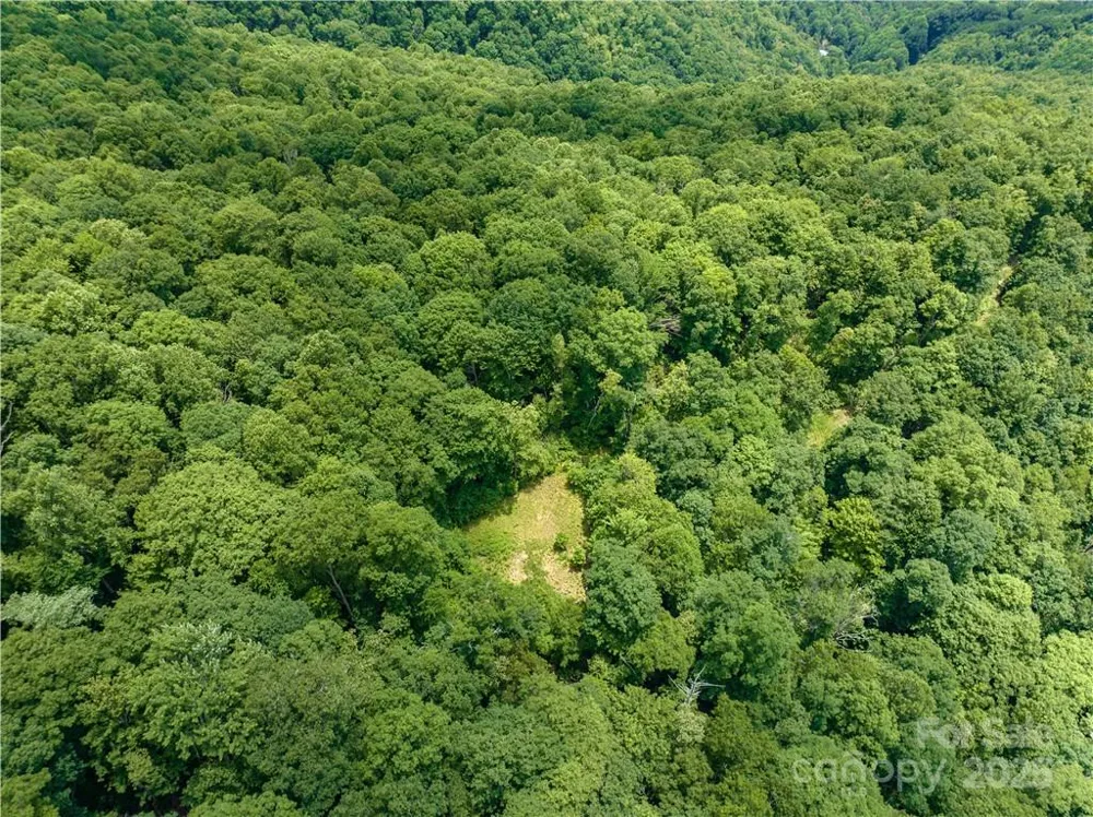 3168 Parris Branch Road #16 D,E,F Sylva, NC 28779
