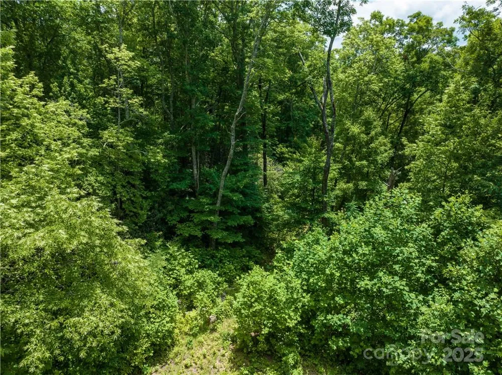 3168 Parris Branch Road #16 D,E,F Sylva, NC 28779