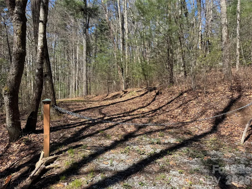 1 Bear Log Road Cashiers, NC 28717