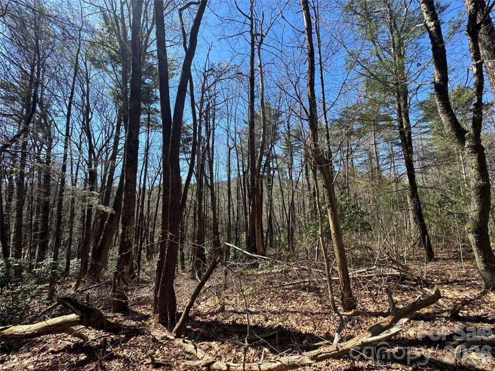 1 Bear Log Road Cashiers, NC 28717