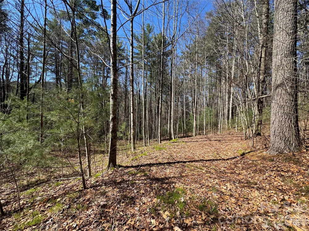 1 Bear Log Road Cashiers, NC 28717