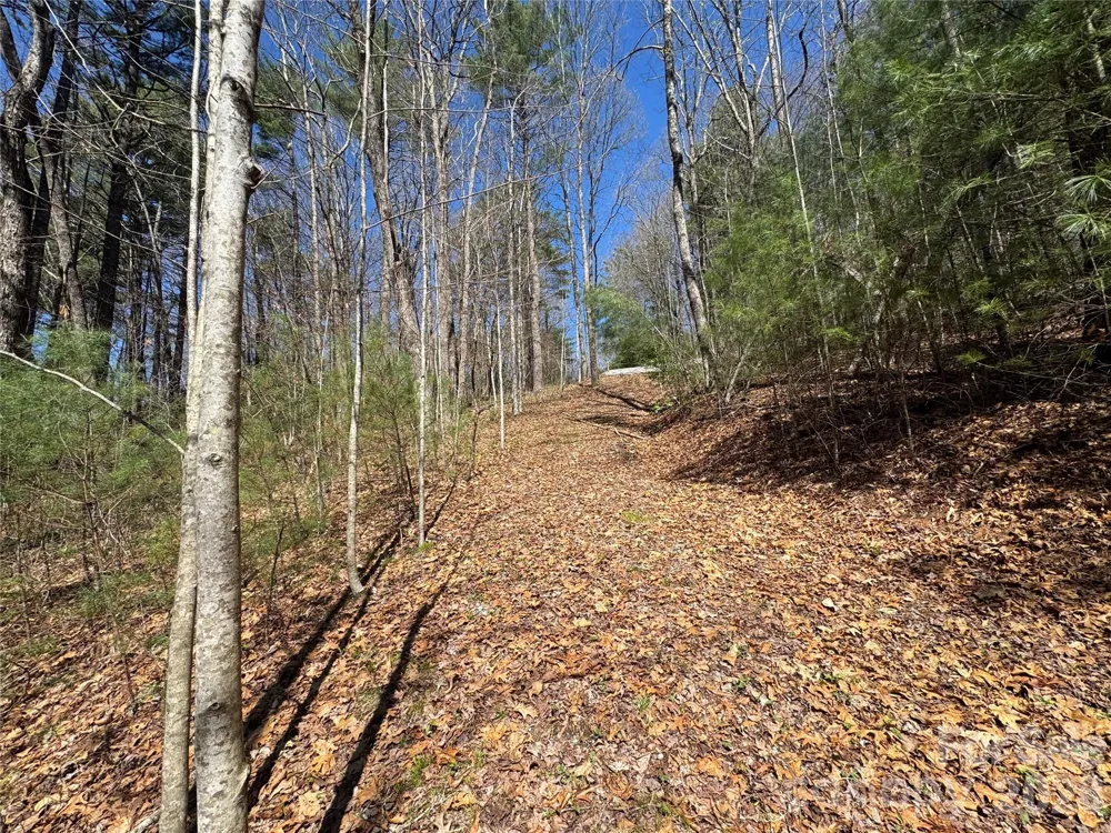 1 Bear Log Road Cashiers, NC 28717