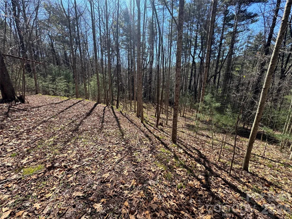 1 Bear Log Road Cashiers, NC 28717