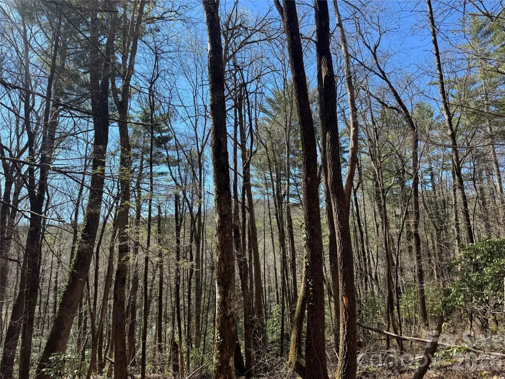 1 Bear Log Road Cashiers, NC 28717