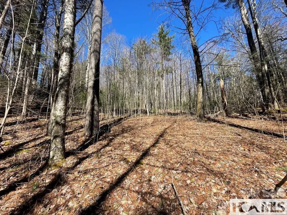 1 Bear Log Road Cashiers, NC 28717