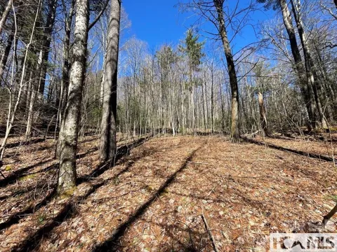 1 Bear Log Road