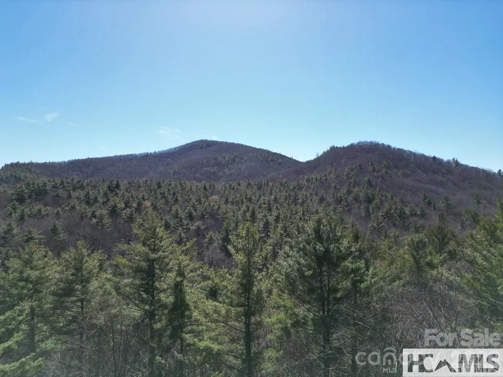 1 Bear Log Road Cashiers, NC 28717