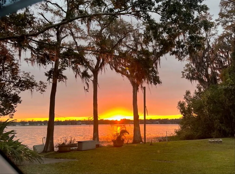 17924 SIMMS ROAD Odessa, FL 33556