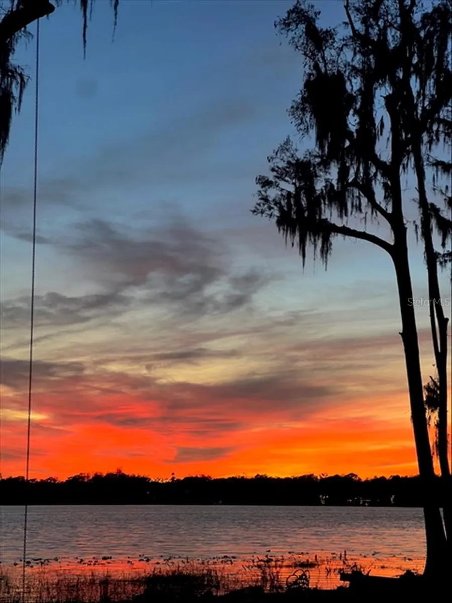 17924 SIMMS ROAD Odessa, FL 33556