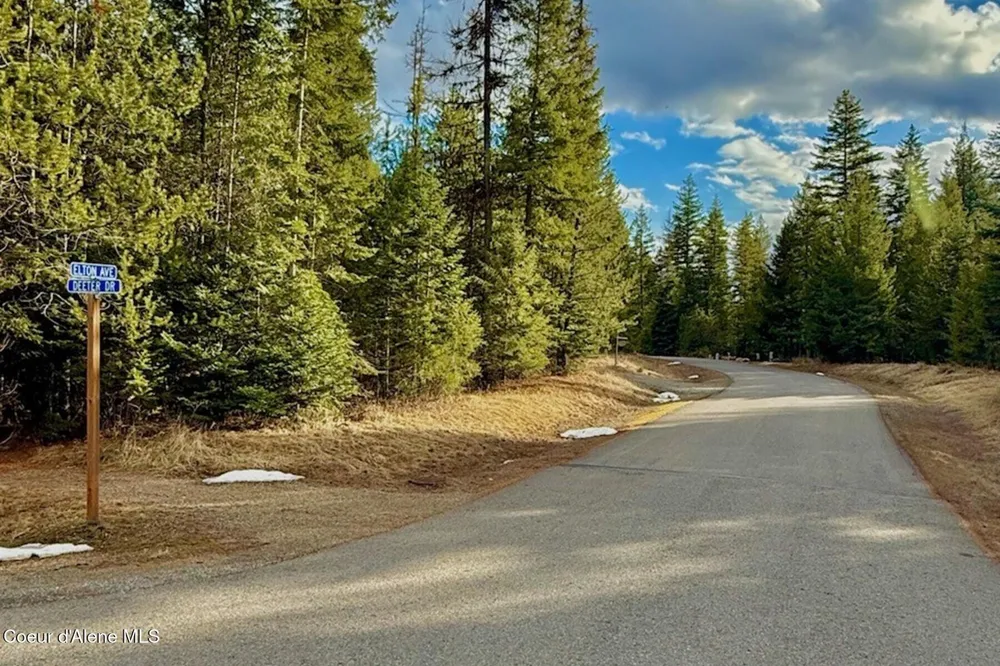 88 Elton Avenue Priest River, ID 83856