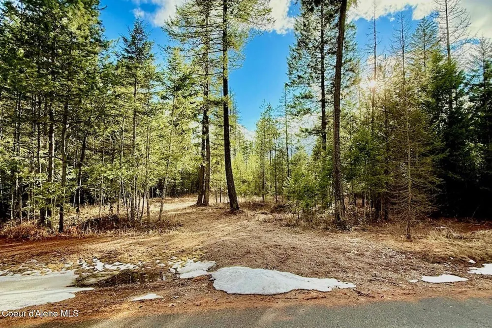 88 Elton Avenue Priest River, ID 83856