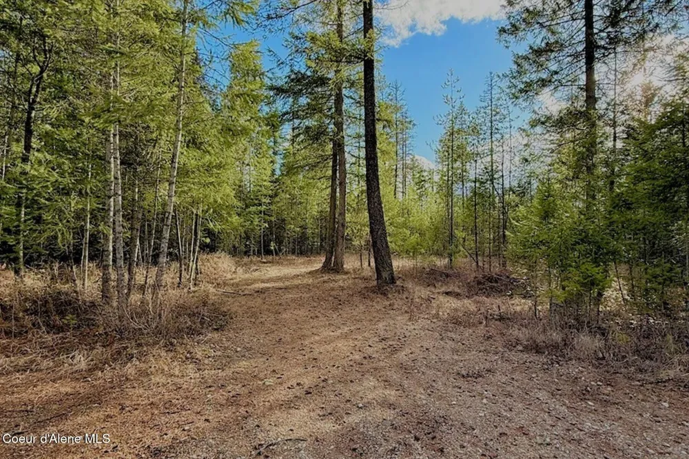 88 Elton Avenue Priest River, ID 83856