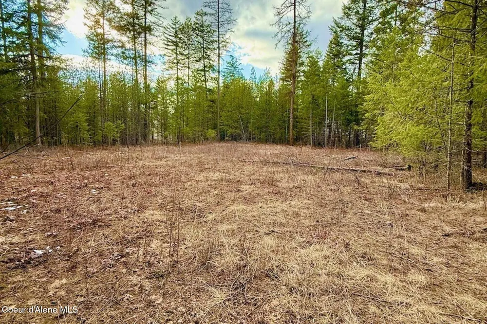 88 Elton Avenue Priest River, ID 83856