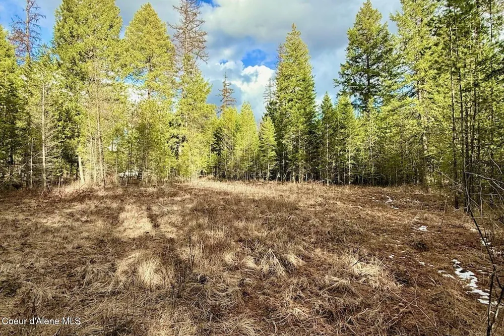 88 Elton Avenue Priest River, ID 83856