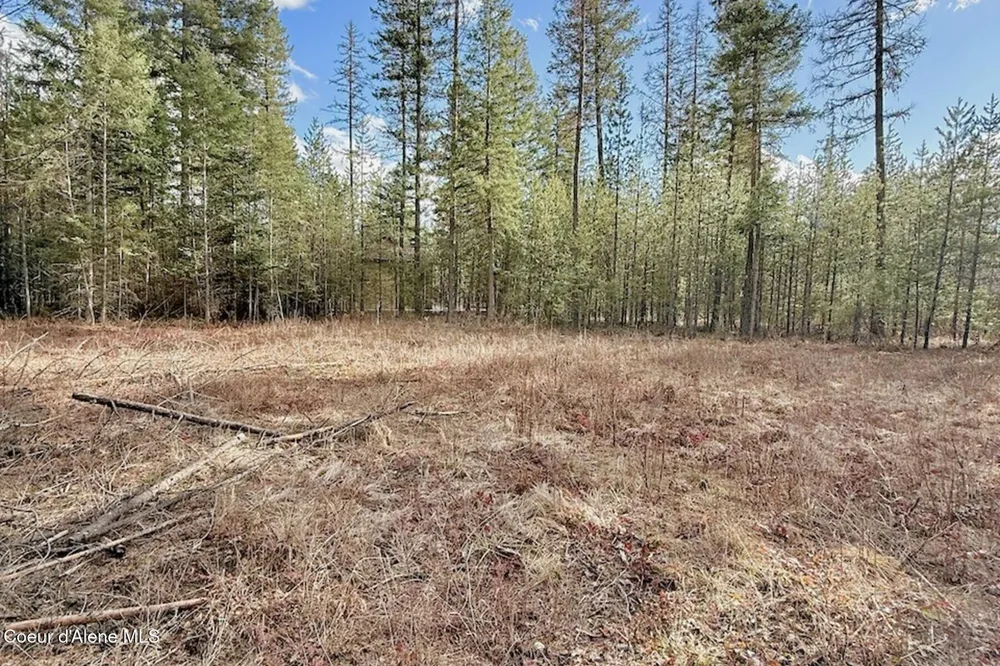 88 Elton Avenue Priest River, ID 83856