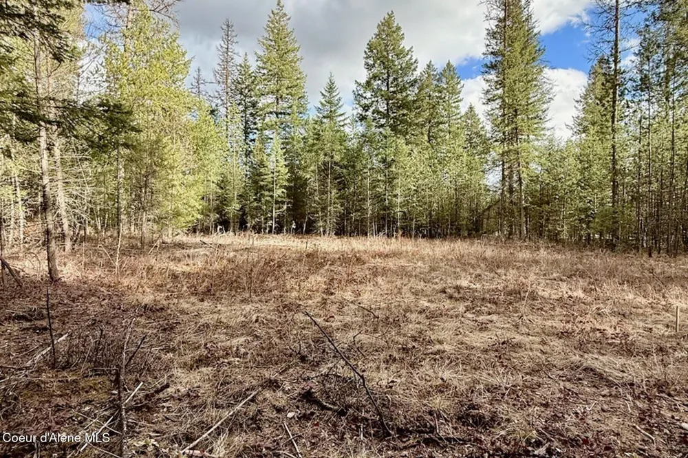 88 Elton Avenue Priest River, ID 83856