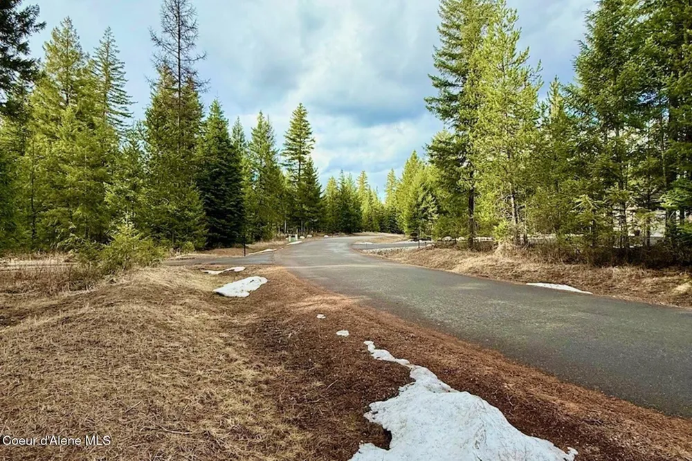 88 Elton Avenue Priest River, ID 83856