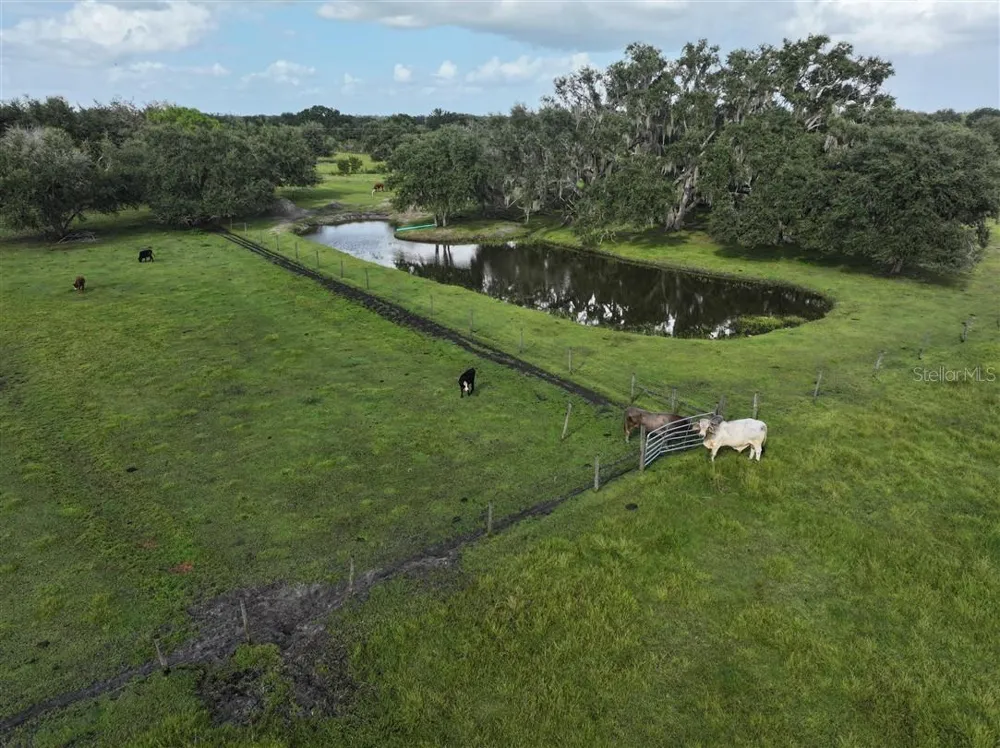 14935 COKER GULLY ROAD Myakka City, FL 34251