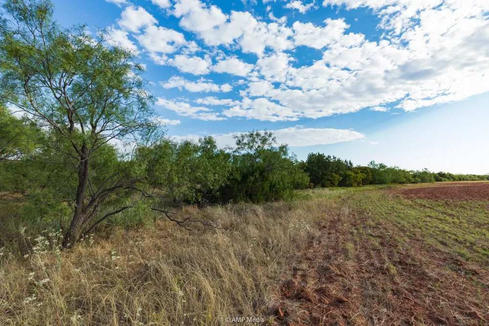 CR 107 Aspermont, TX 79502