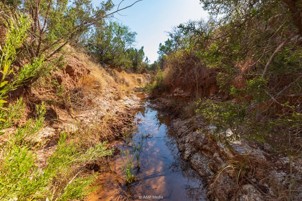 CR 107 Aspermont, TX 79502
