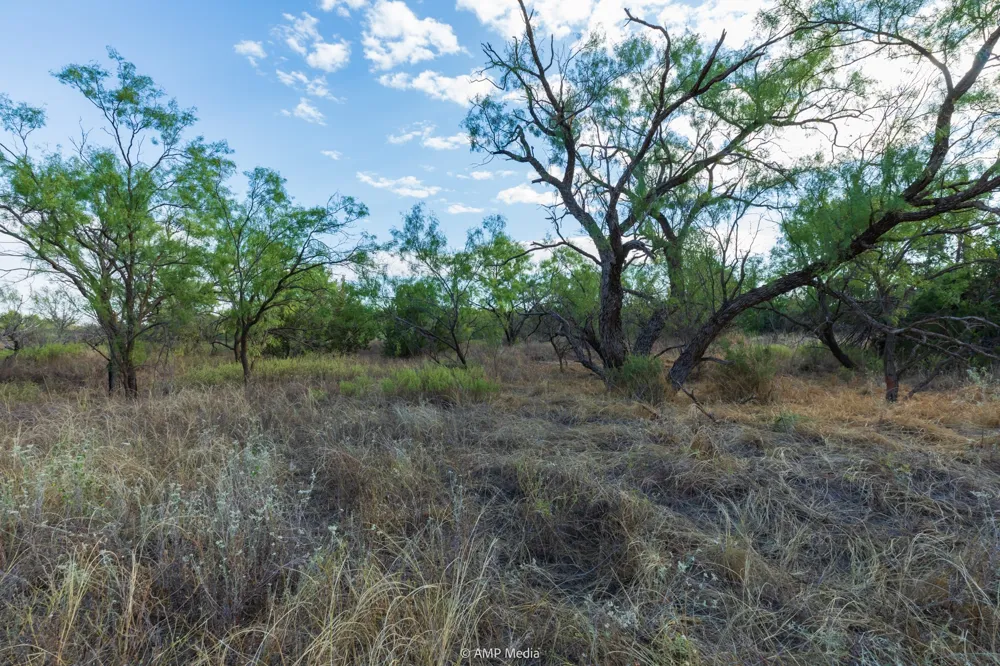 CR 107 Aspermont, TX 79502