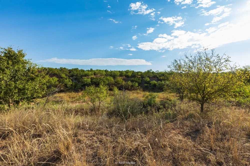 CR 107 Aspermont, TX 79502
