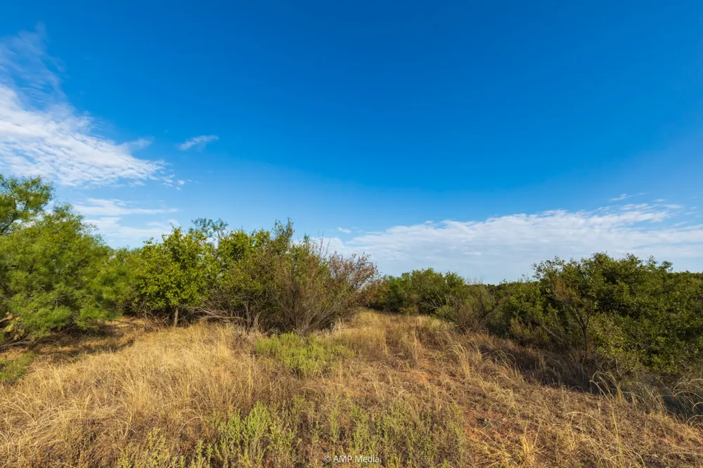 CR 107 Aspermont, TX 79502