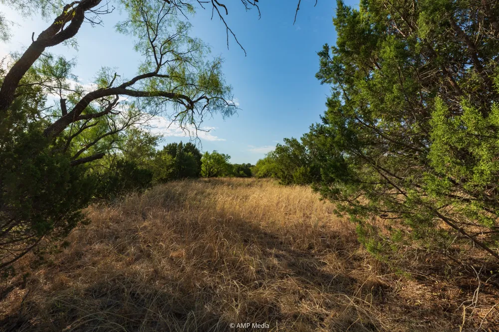 CR 107 Aspermont, TX 79502