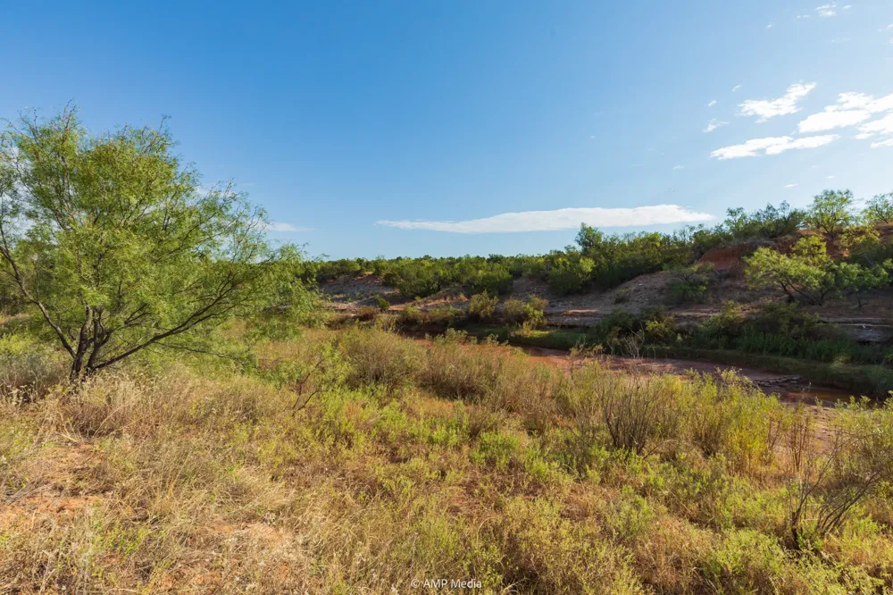 CR 107 Aspermont, TX 79502