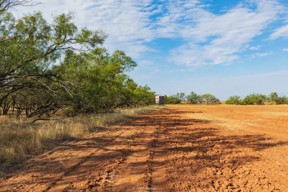 CR 107 Aspermont, TX 79502