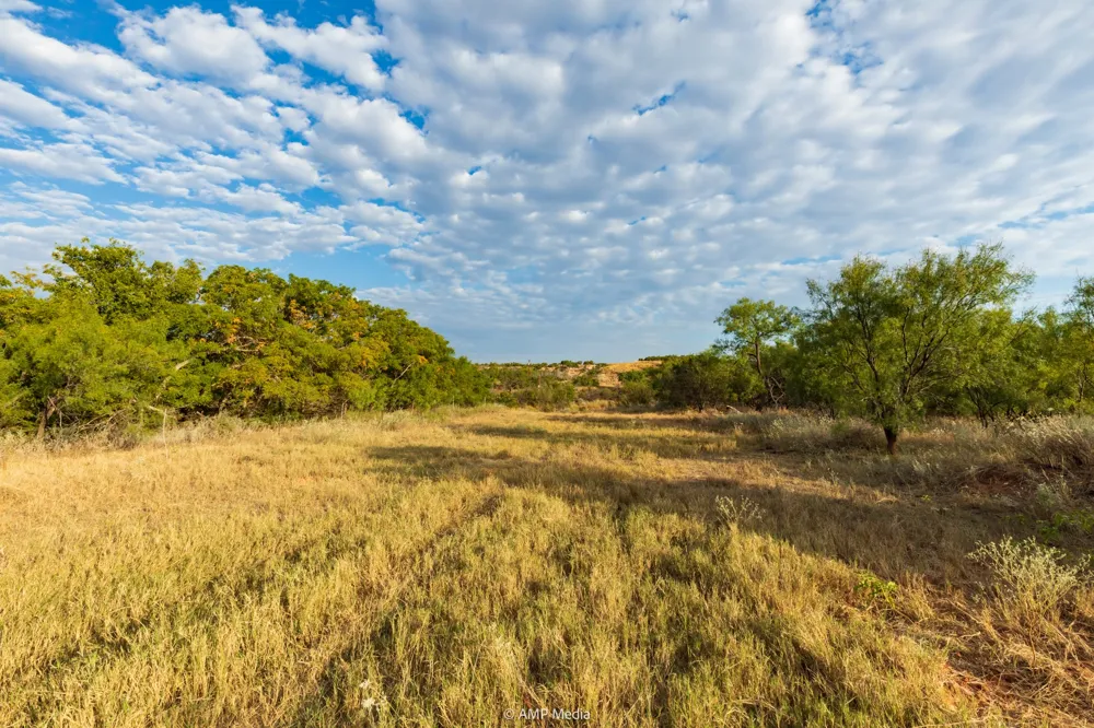 CR 107 Aspermont, TX 79502
