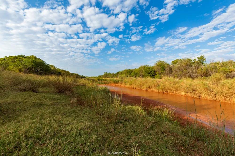 CR 107 Aspermont, TX 79502