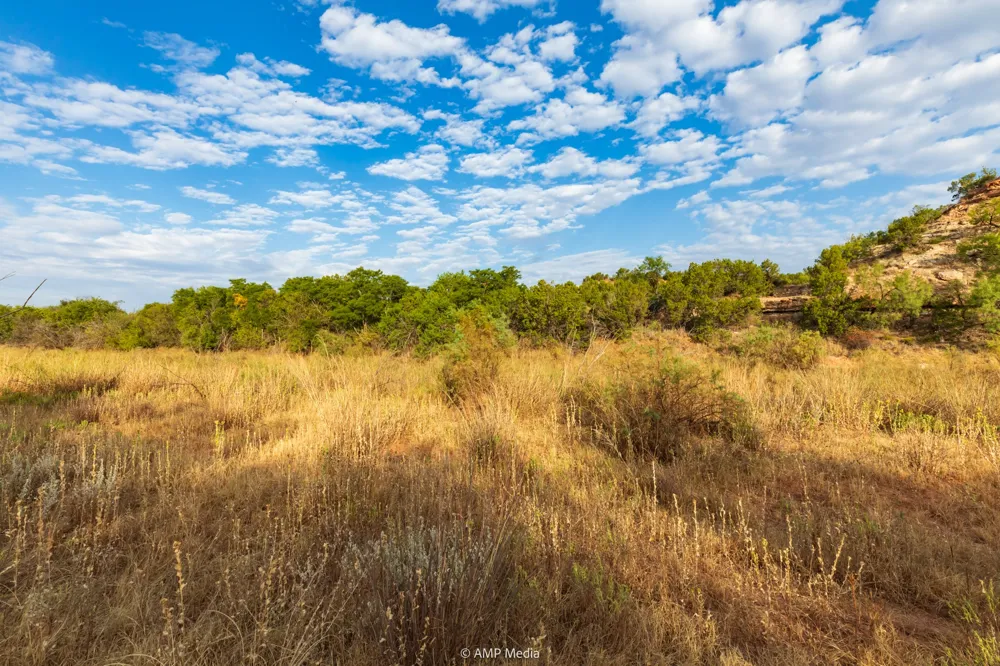 CR 107 Aspermont, TX 79502