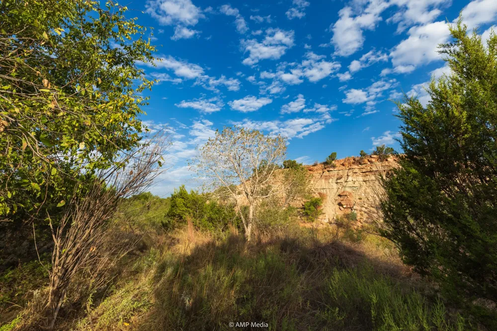 CR 107 Aspermont, TX 79502