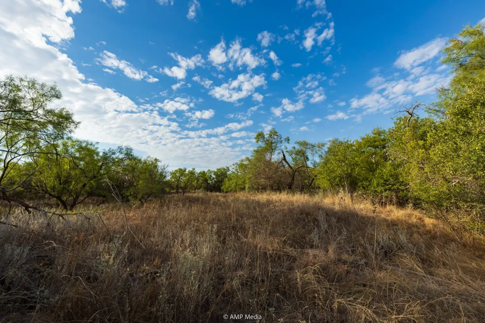 CR 107 Aspermont, TX 79502
