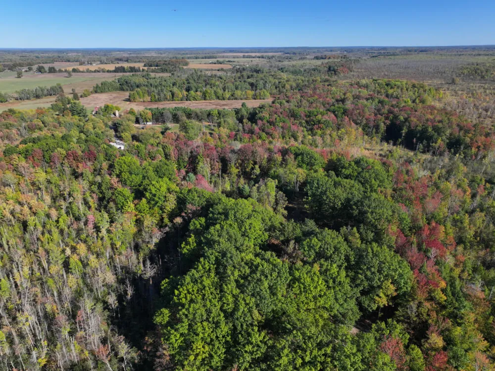 2697 176th Avenue Leavitt Township, MI 49459