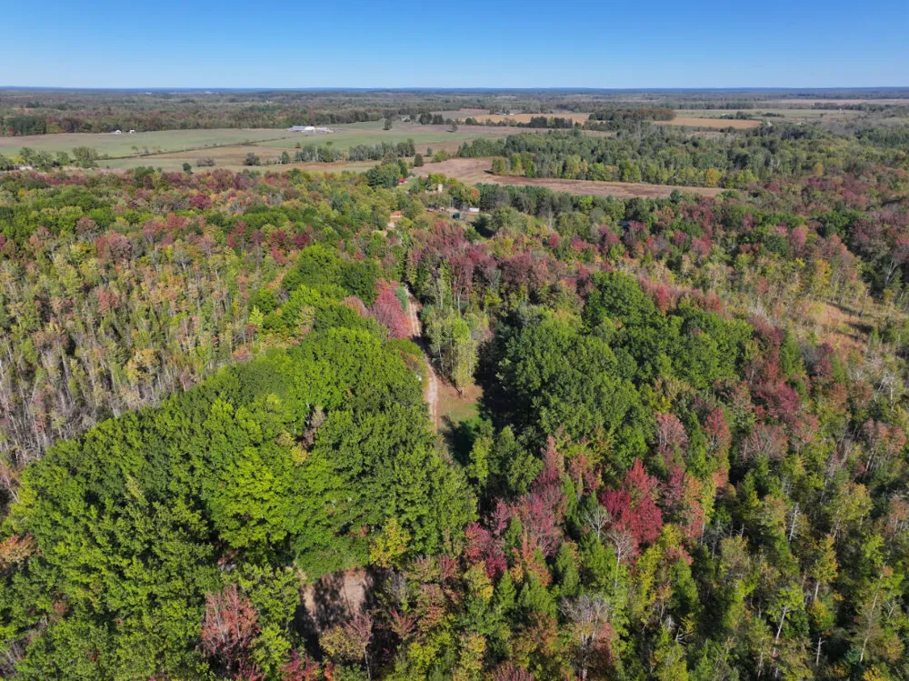 2697 176th Avenue Leavitt Township, MI 49459