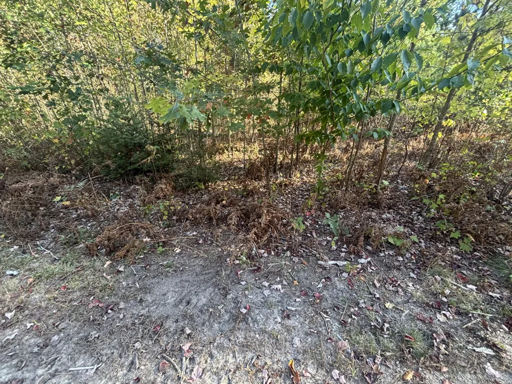 2697 176th Avenue Leavitt Township, MI 49459