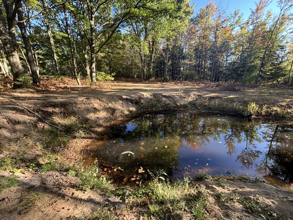 2697 176th Avenue Leavitt Township, MI 49459