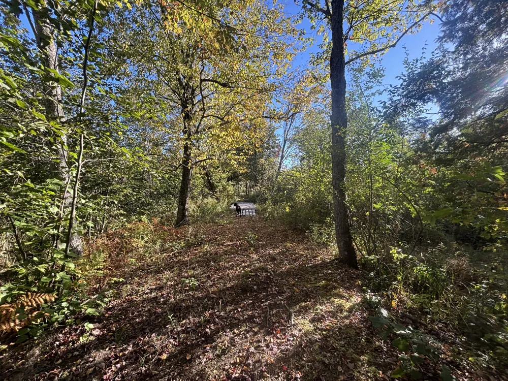 2697 176th Avenue Leavitt Township, MI 49459