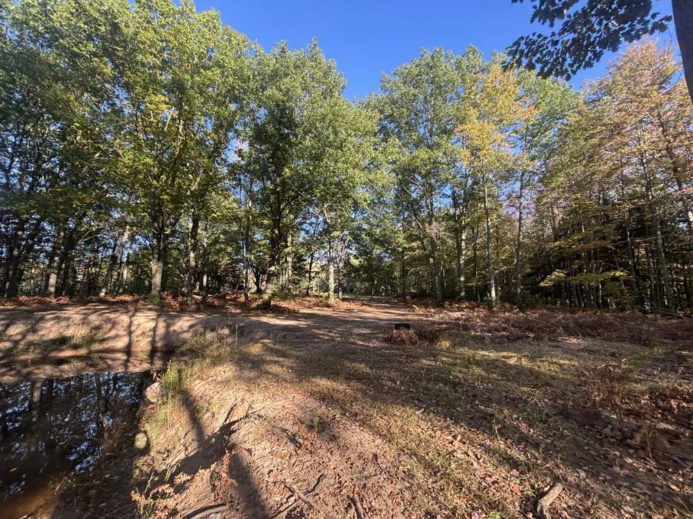 2697 176th Avenue Leavitt Township, MI 49459