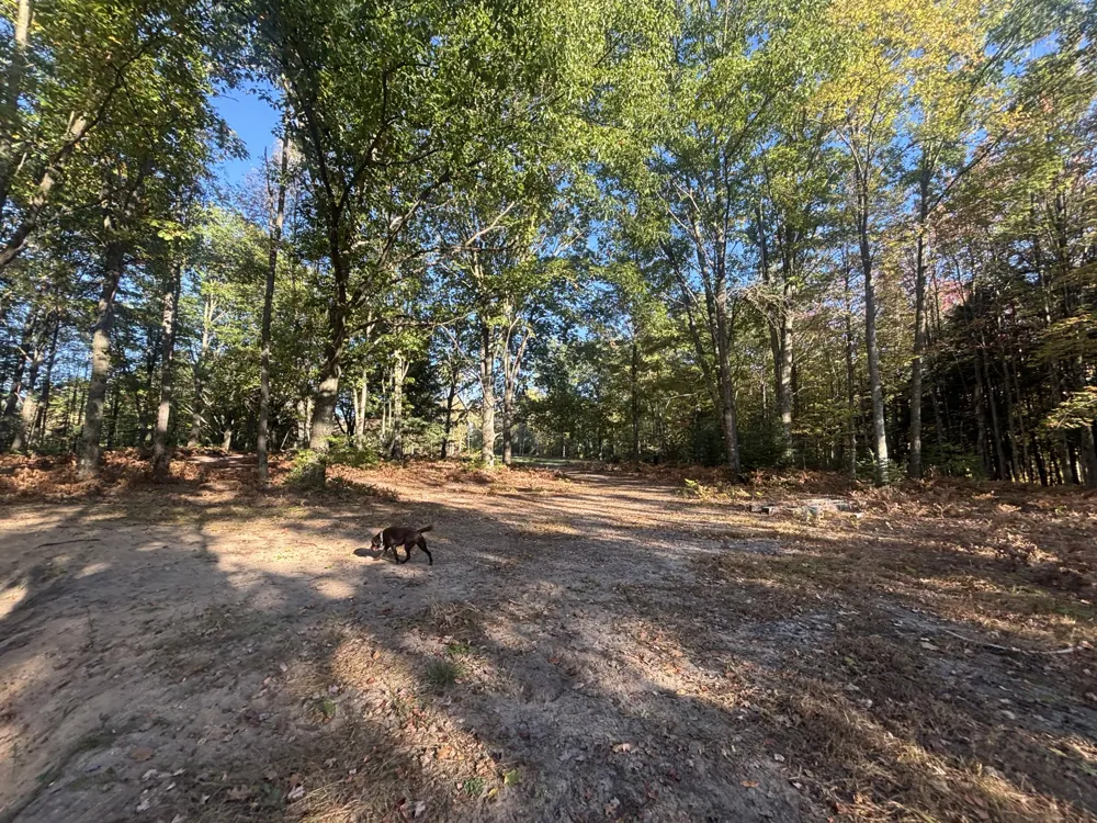 2697 176th Avenue Leavitt Township, MI 49459