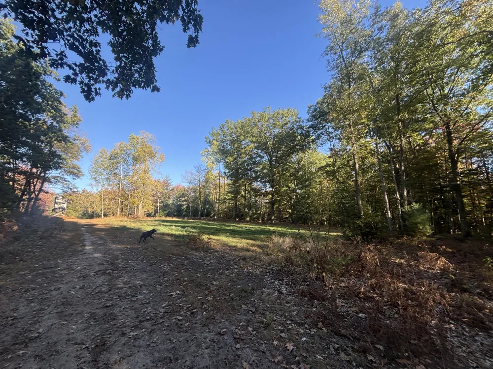 2697 176th Avenue Leavitt Township, MI 49459