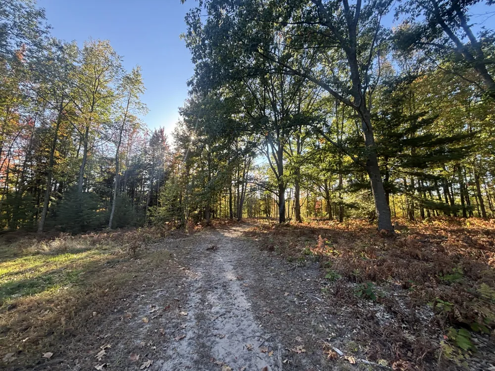 2697 176th Avenue Leavitt Township, MI 49459