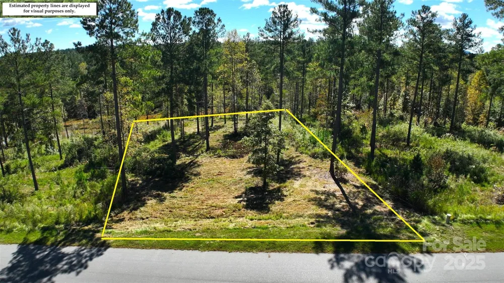 2172 Snowmass Drive #41 Connelly Springs, NC 28612