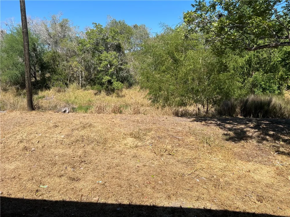 295 Mystic Drive George West, TX 78022