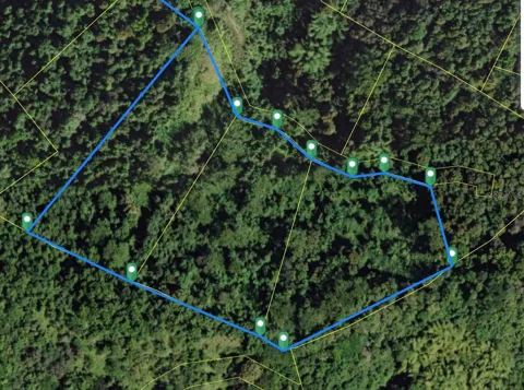BO MASA DE GURABO CARR 181 KM 13 HM 2 #LOTE 4