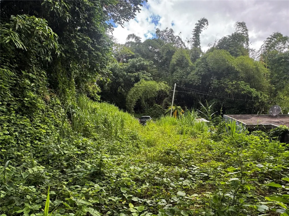 BO MASA DE GURABO CARR 181 KM 13 HM 2 #LOTE 4 Gurabo, PR 00778