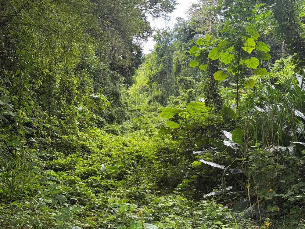 BO MASA DE GURABO CARR 181 KM 13 HM 2 #LOTE 4 Gurabo, PR 00778